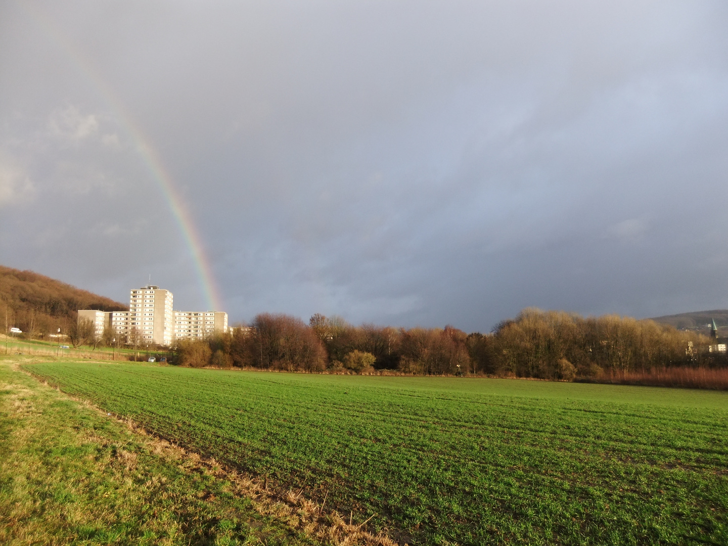 Regenbogen