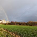 Regenbogen