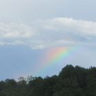 regenbogen  