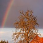 Regenbogen