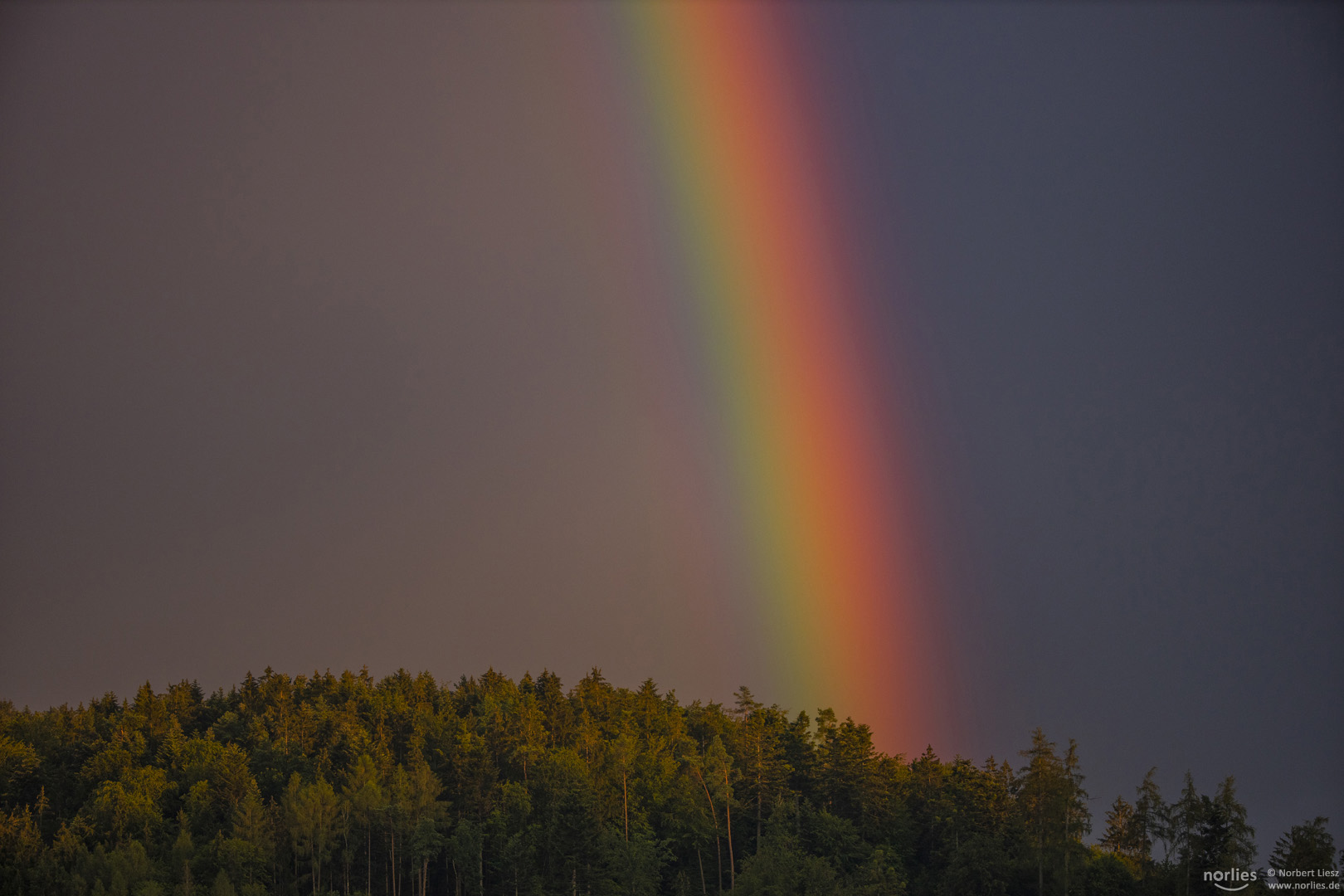 Regenbogen