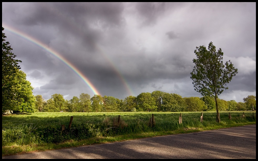 Regenbogen