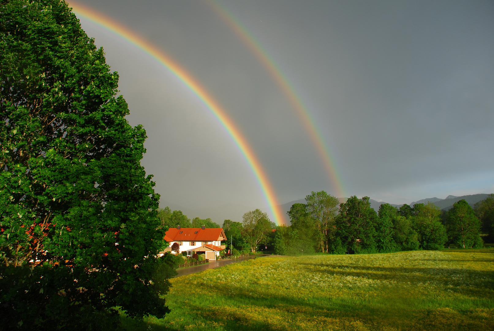 Regenbogen