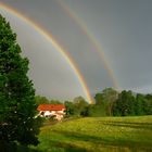 Regenbogen