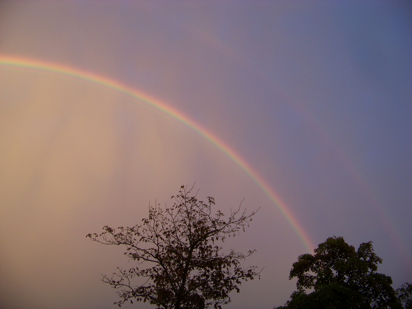 Regenbogen