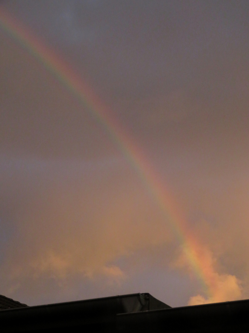 Regenbogen ...