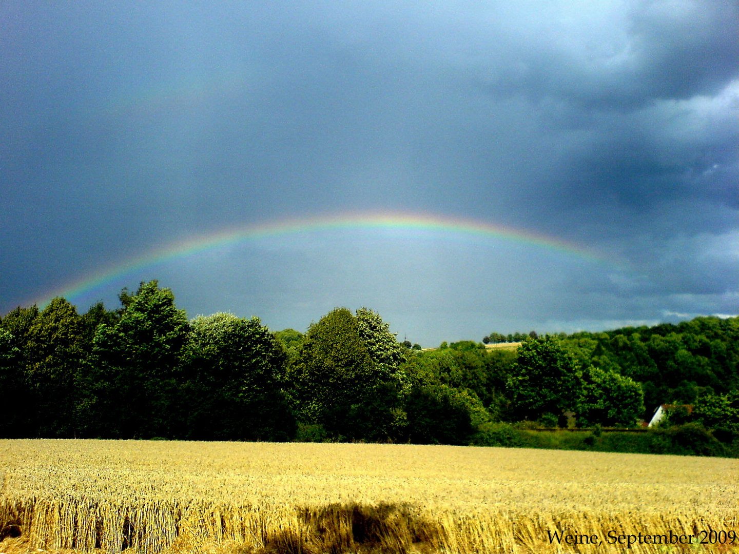 Regenbogen