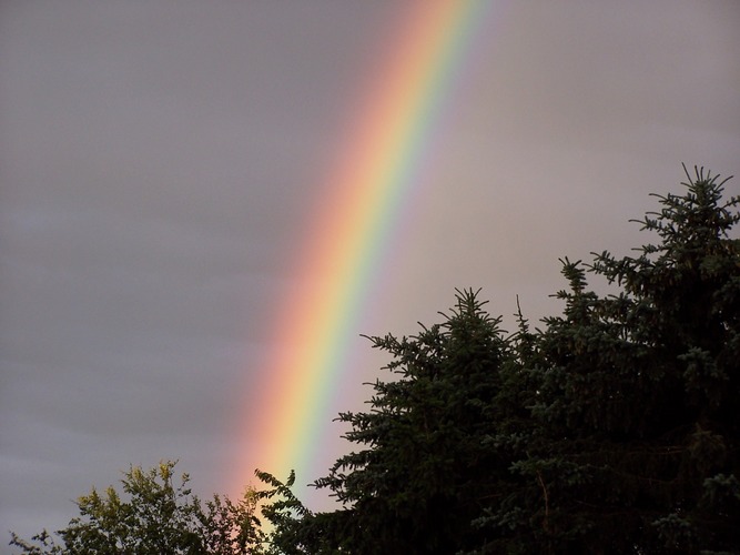 Regenbogen