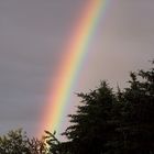 Regenbogen