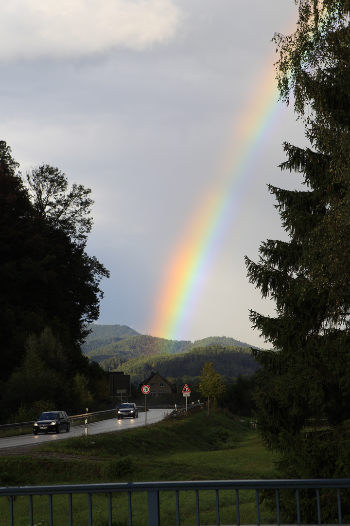 Regenbogen 