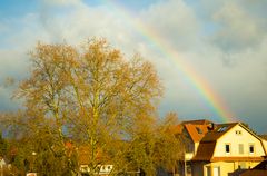 Regenbogen