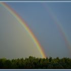 Regenbogen