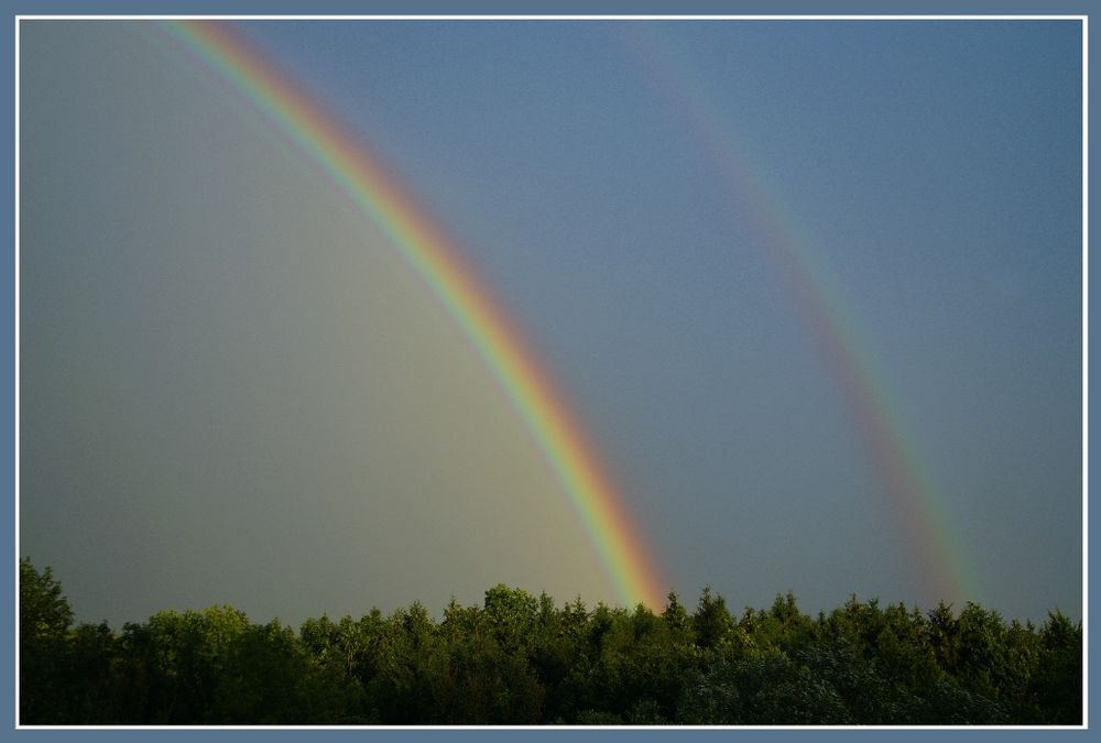 Regenbogen