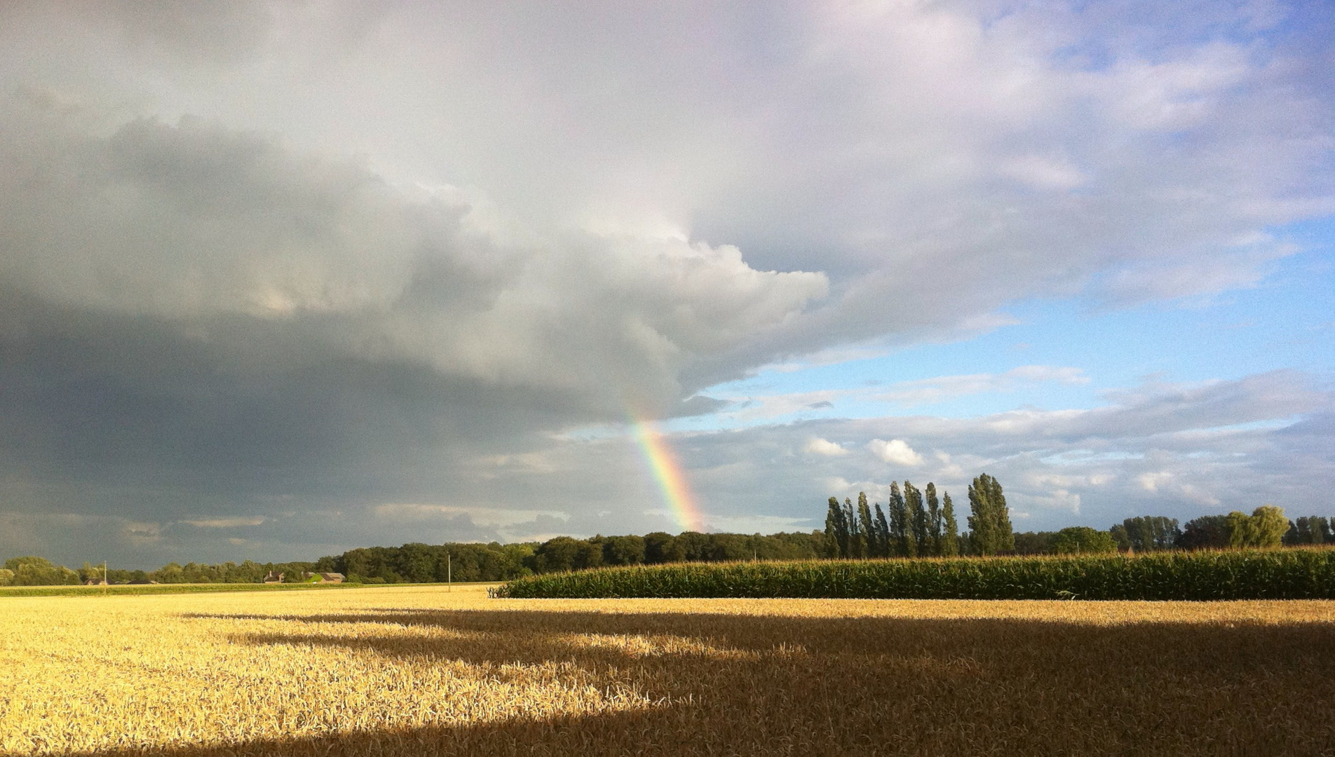 Regenbogen