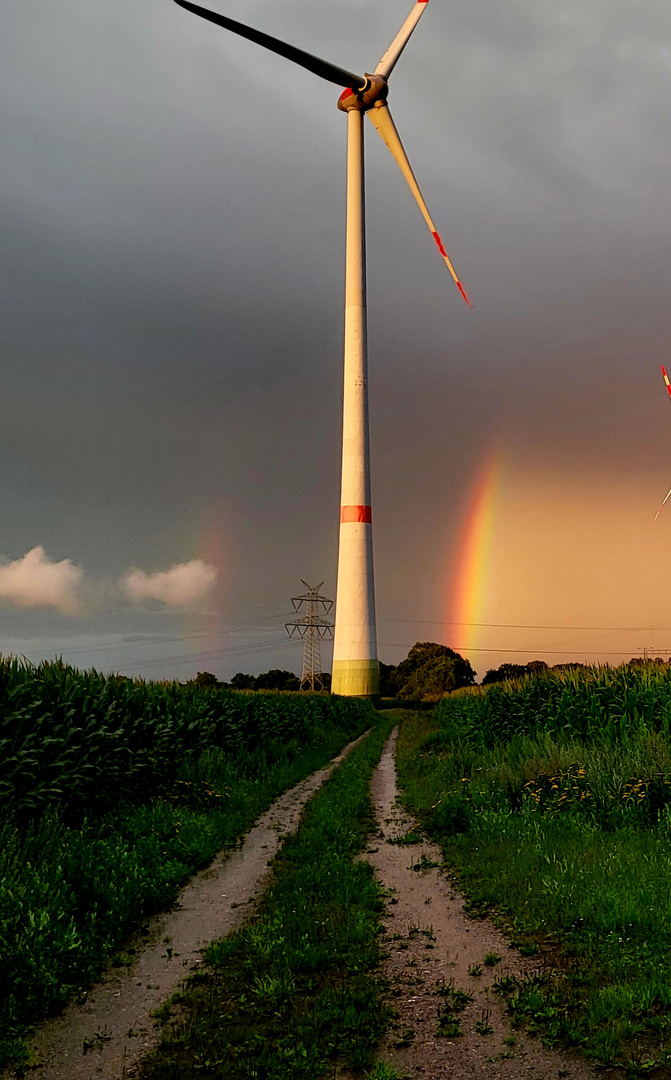 Regenbogen