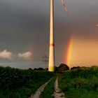 Regenbogen