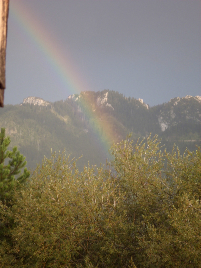 regenbogen