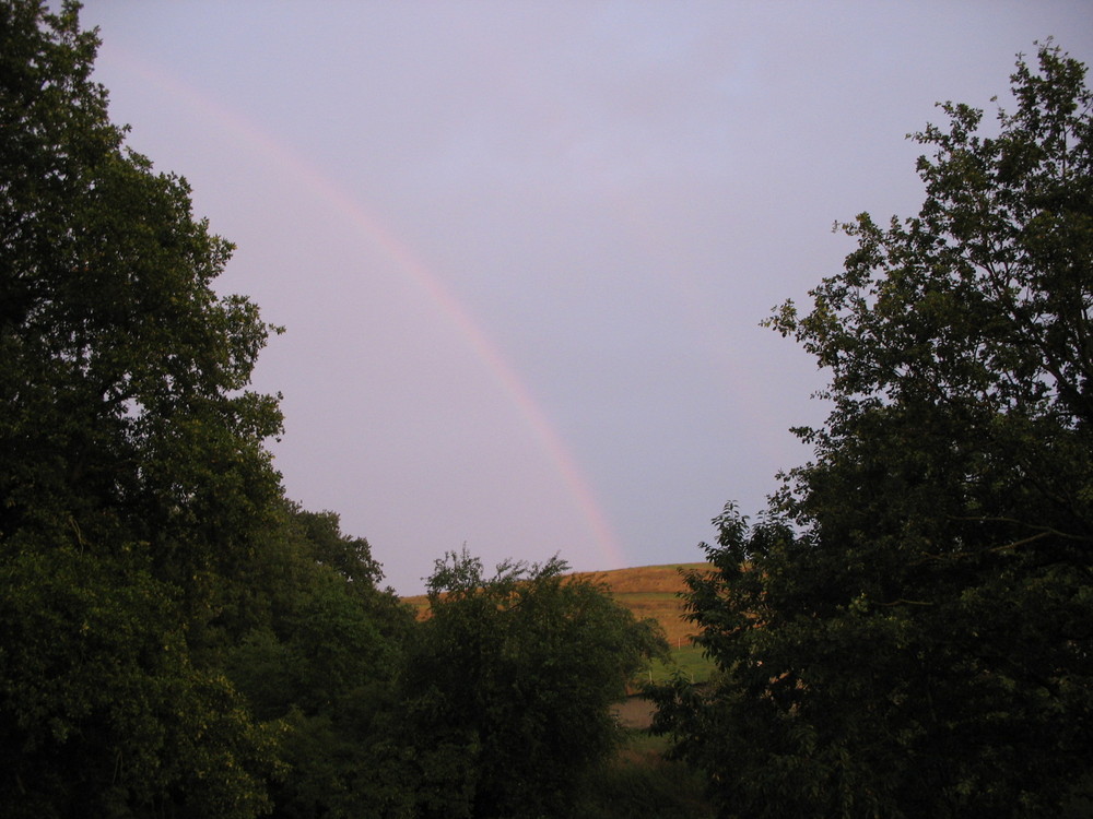 Regenbogen