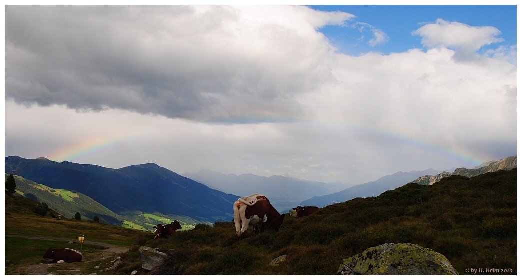 Regenbogen