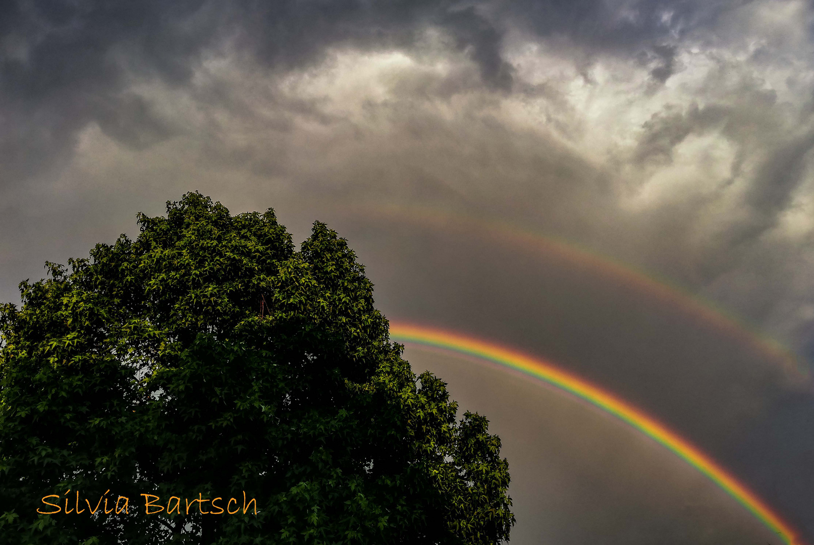 Regenbogen