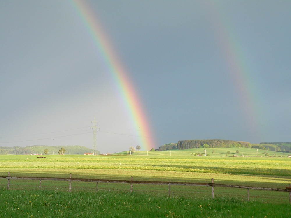 Regenbogen