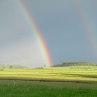 Regenbogen