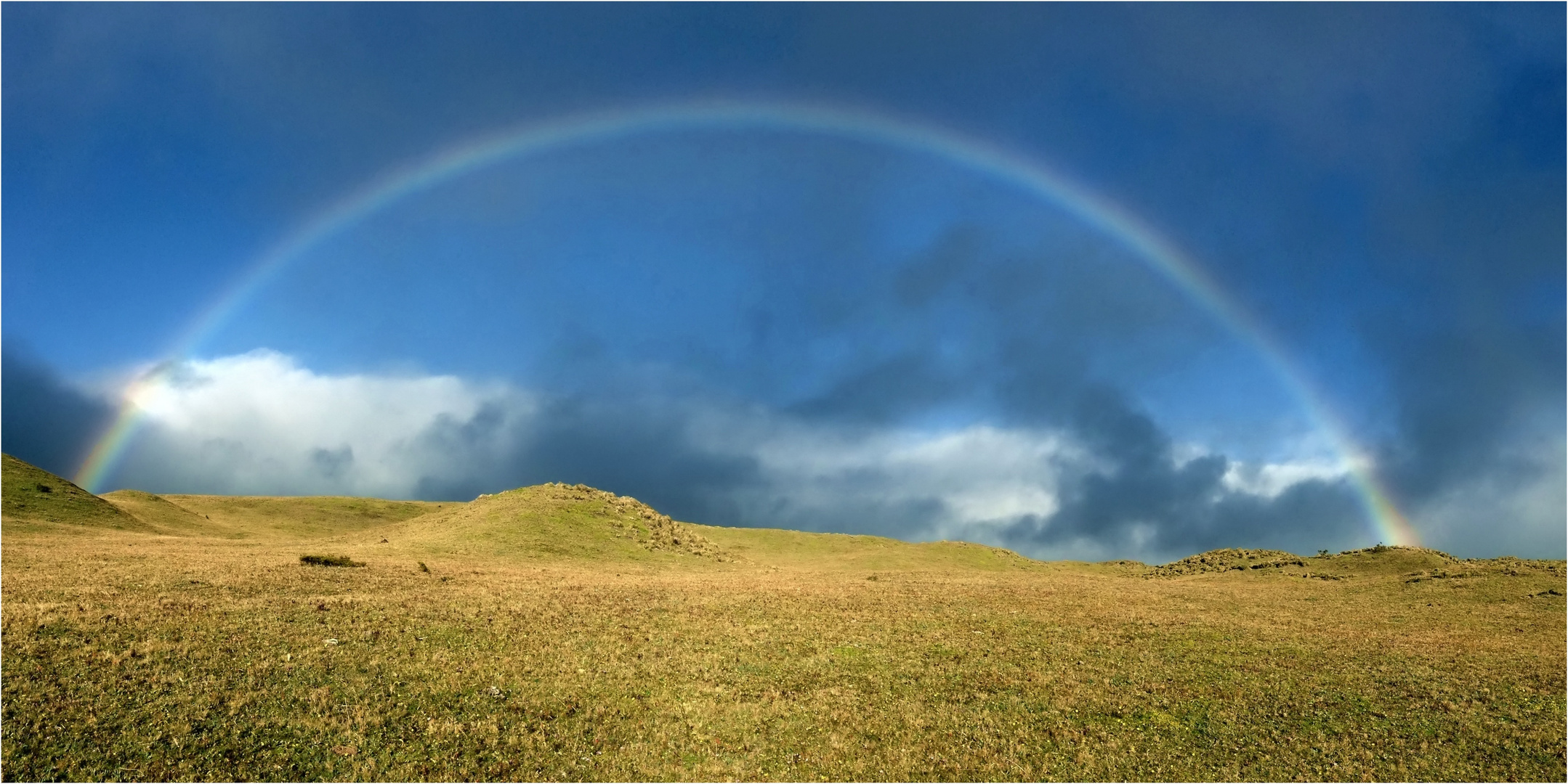 Regenbogen