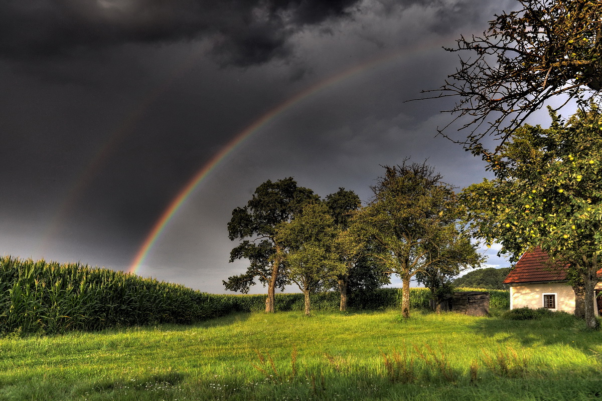 Regenbogen