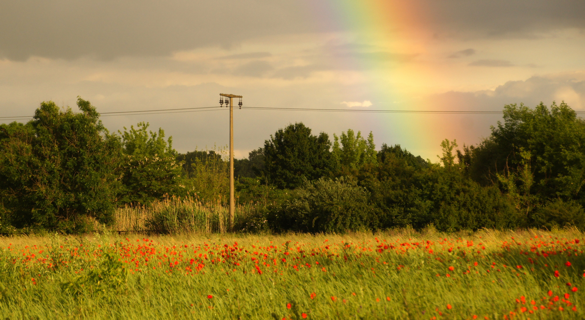 Regenbogen