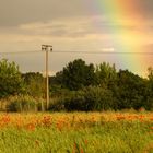 Regenbogen