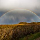 Regenbogen