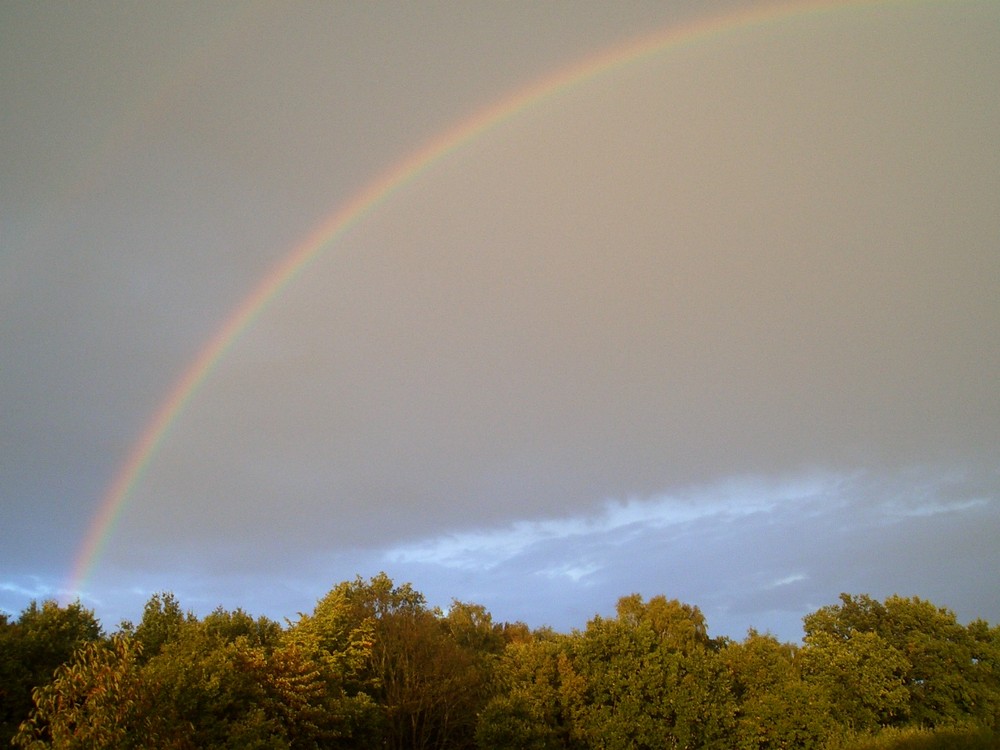 Regenbogen