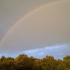 Regenbogen