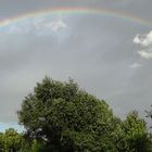 Regenbogen