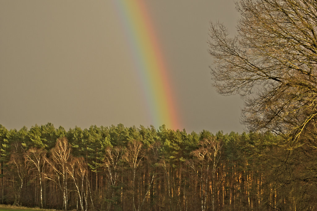 Regenbogen