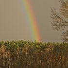 Regenbogen