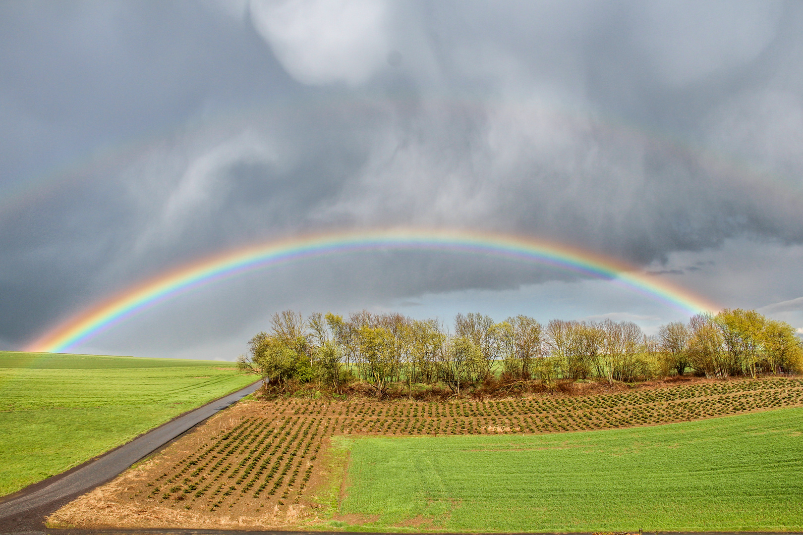 Regenbogen