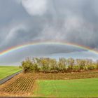 Regenbogen