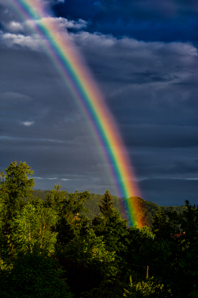 Regenbogen