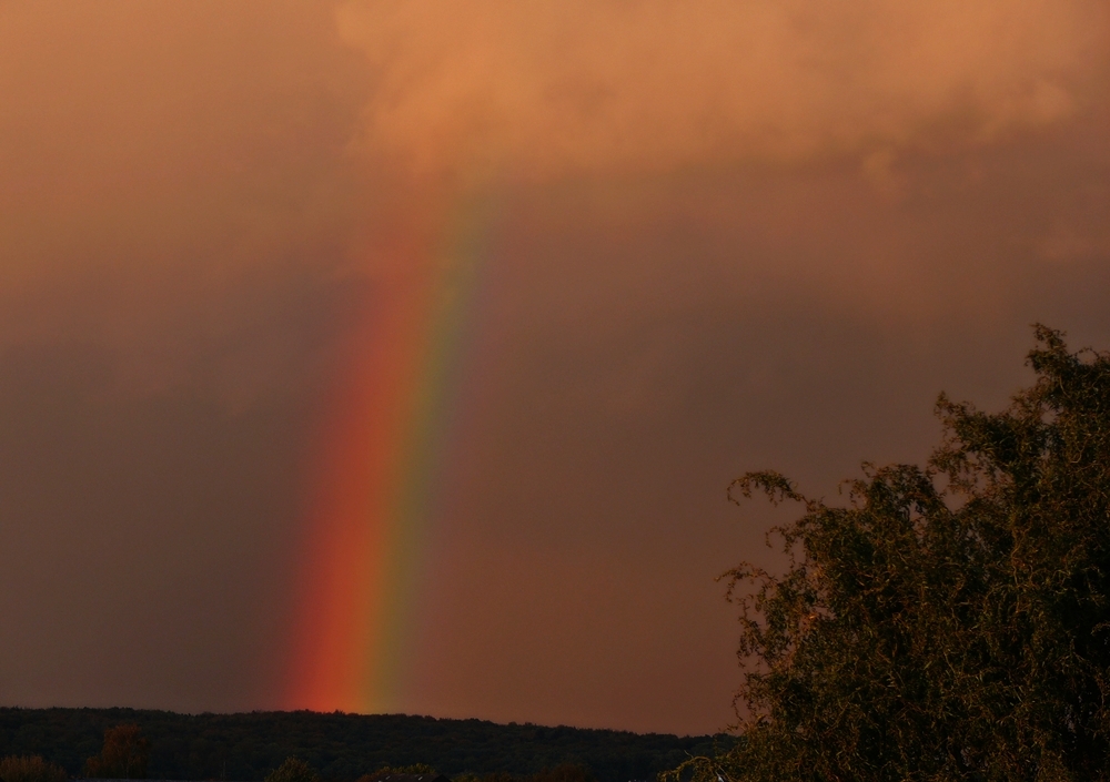 Regenbogen