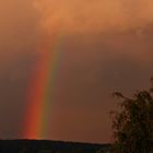 Regenbogen