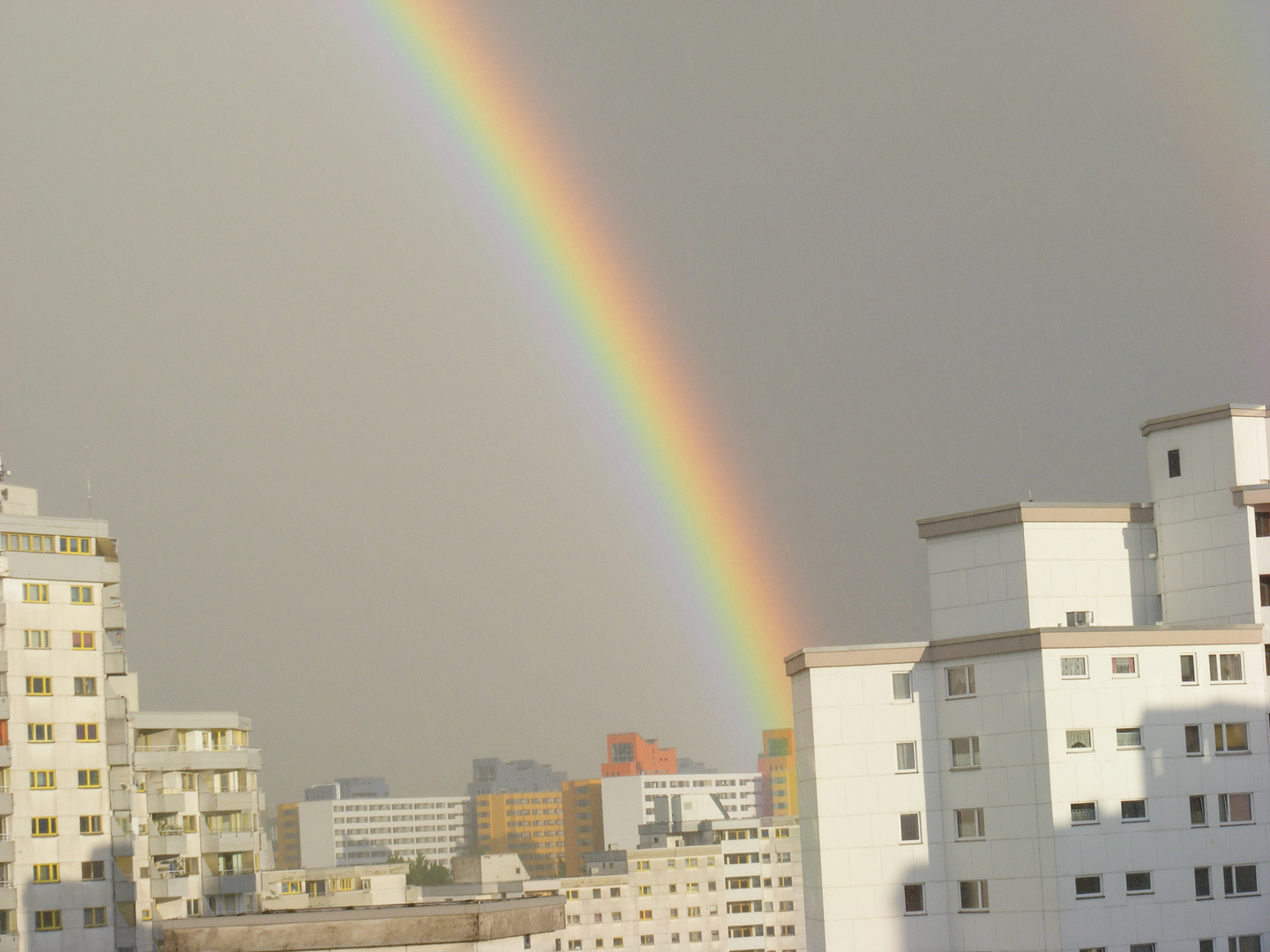 Regenbogen