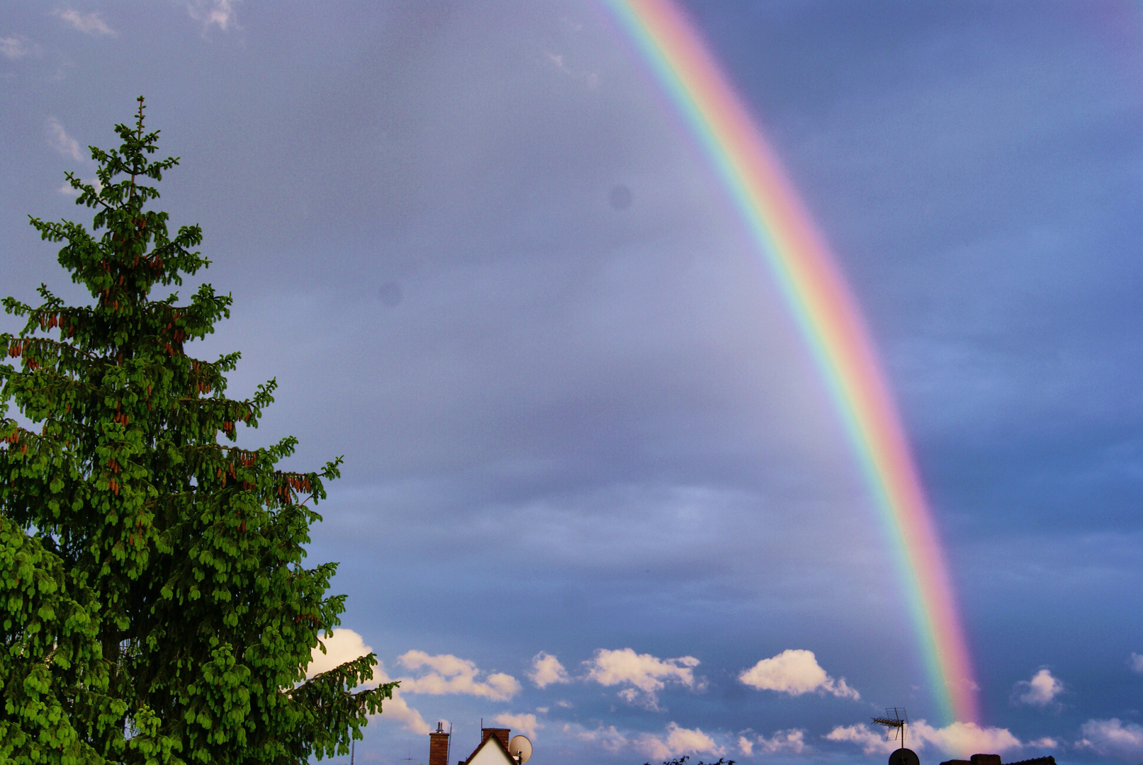 Regenbogen