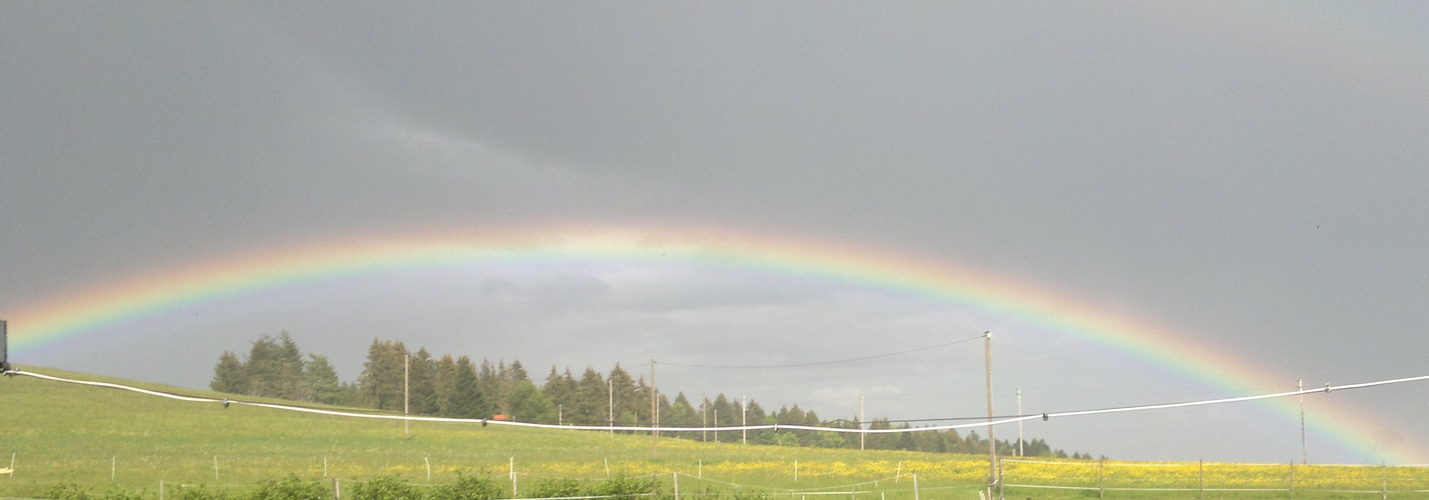 Regenbogen