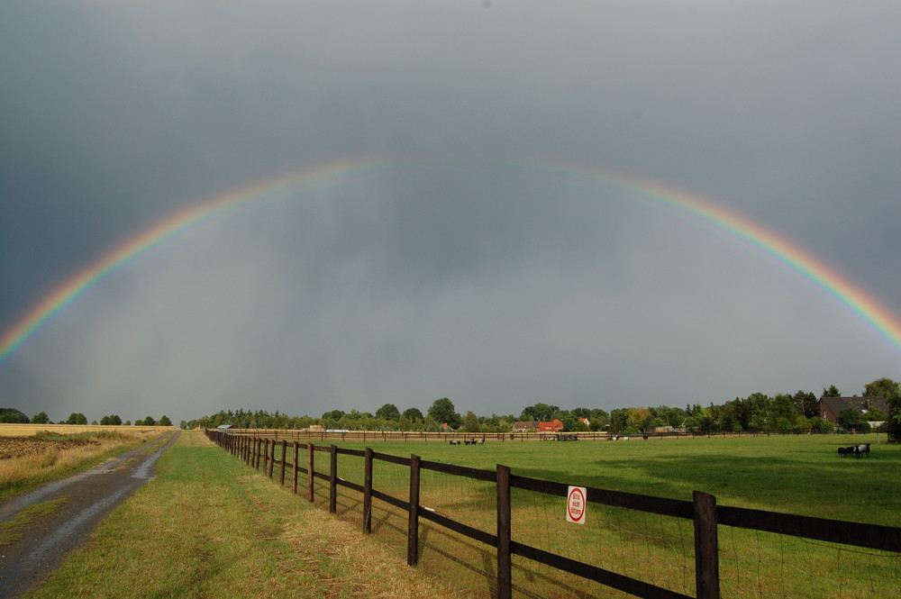 Regenbogen