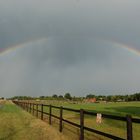 Regenbogen