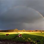 Regenbogen