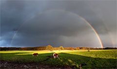 Regenbogen