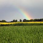 Regenbogen