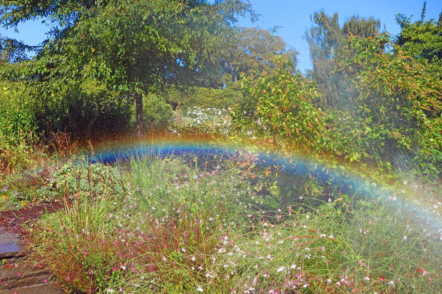 Regenbogen